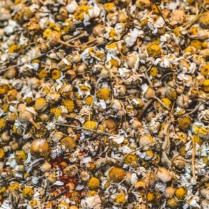 sansevieria golden flame